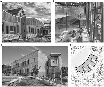 Re-naturalizing the built environment. Plants, architecture, and pedagogy in contemporary green schools